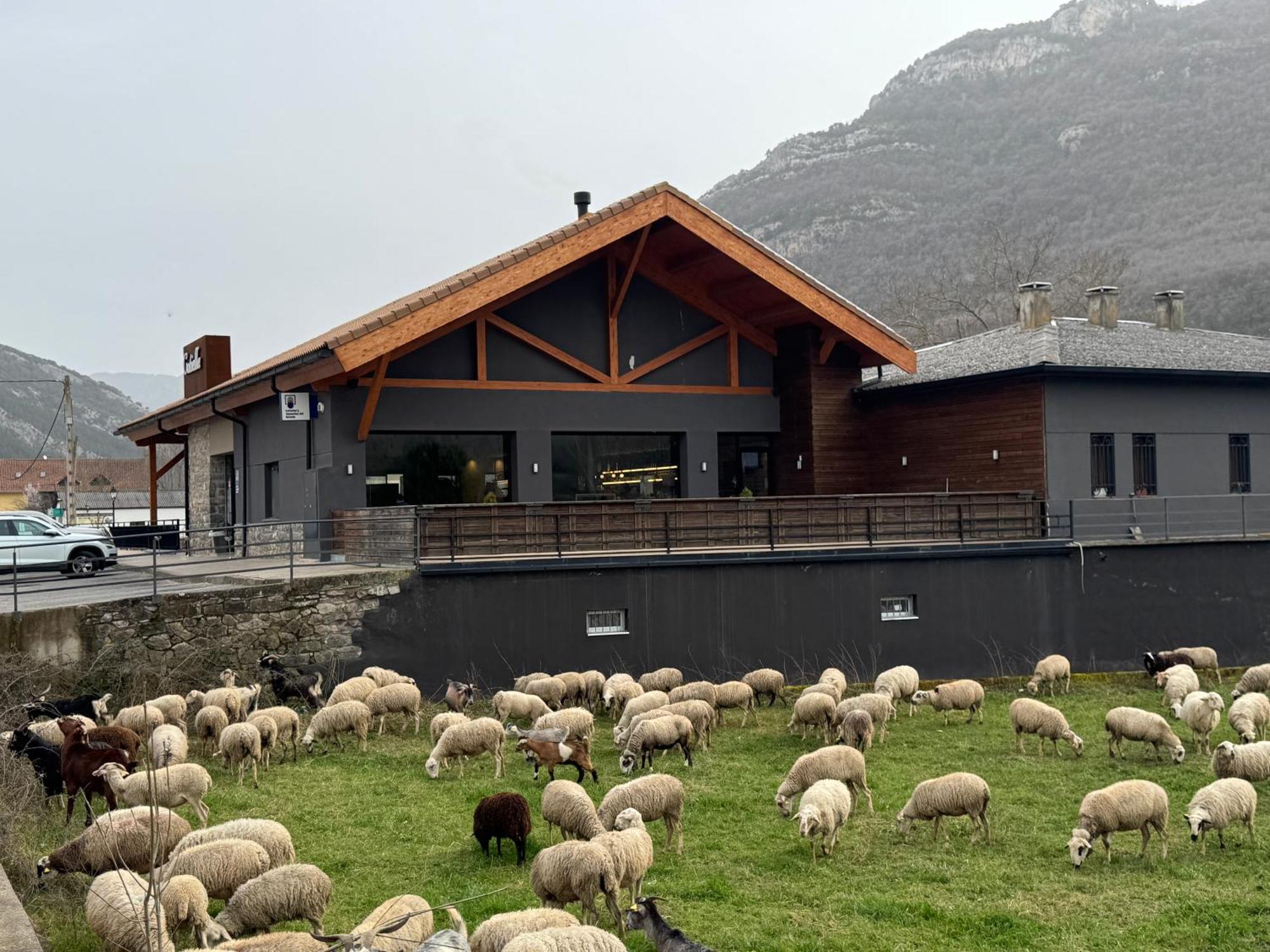Hotel Cotiella Campo  Exterior foto